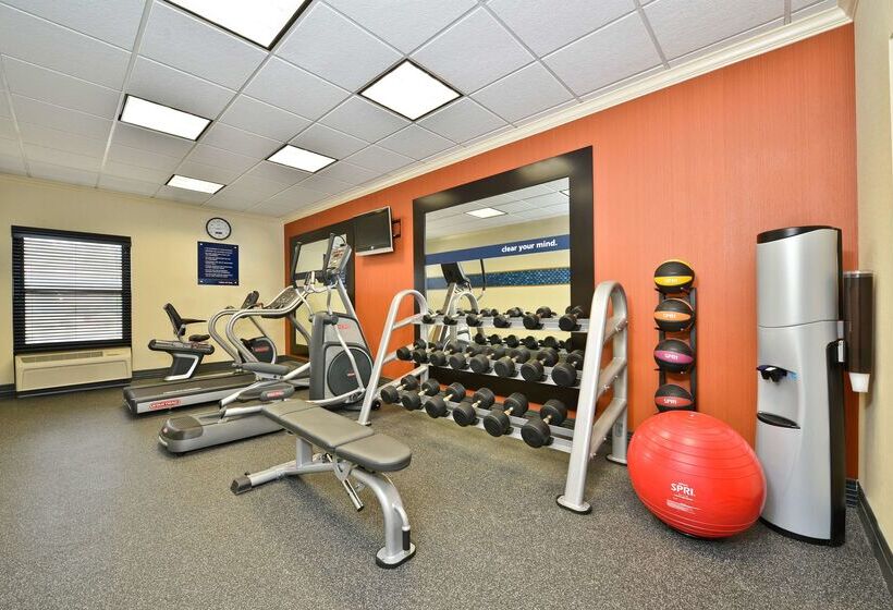 בית מלון כפרי Hampton Inn Greenville