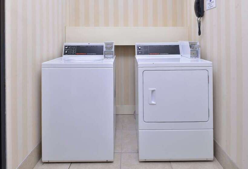 בית מלון כפרי Hampton Inn Greenville