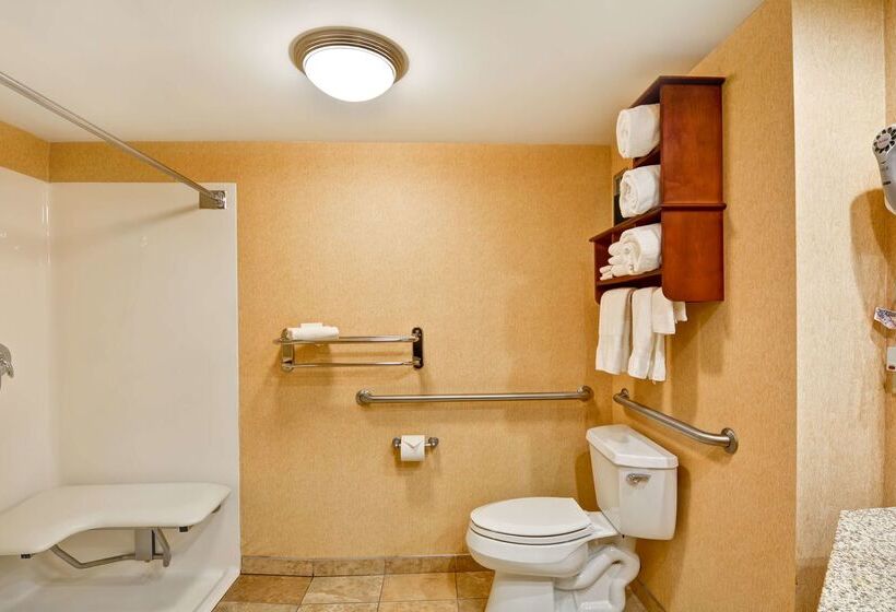 בית מלון כפרי Hampton Inn Hendersonville