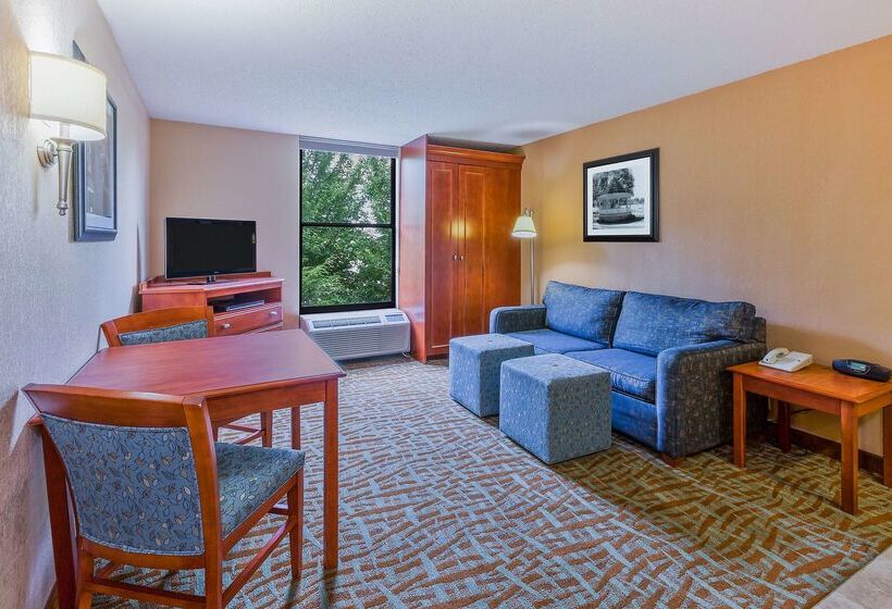 בית מלון כפרי Hampton Inn Hendersonville