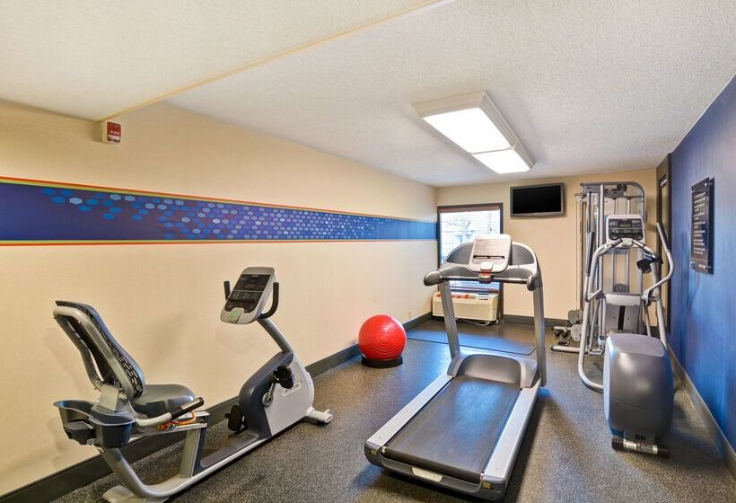 酒店 Hampton Inn Memphis Poplar