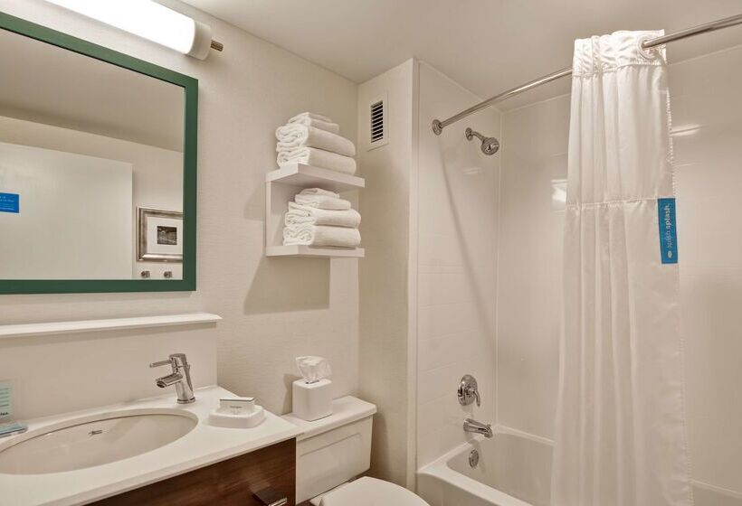 酒店 Hampton Inn Memphis Poplar