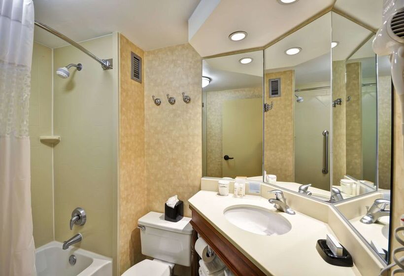 酒店 Hampton Inn Memphis Poplar