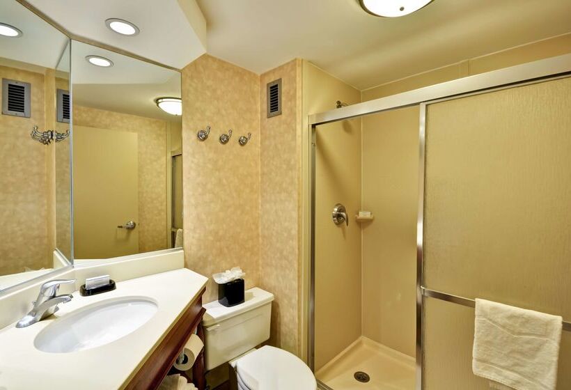 酒店 Hampton Inn Memphis Poplar