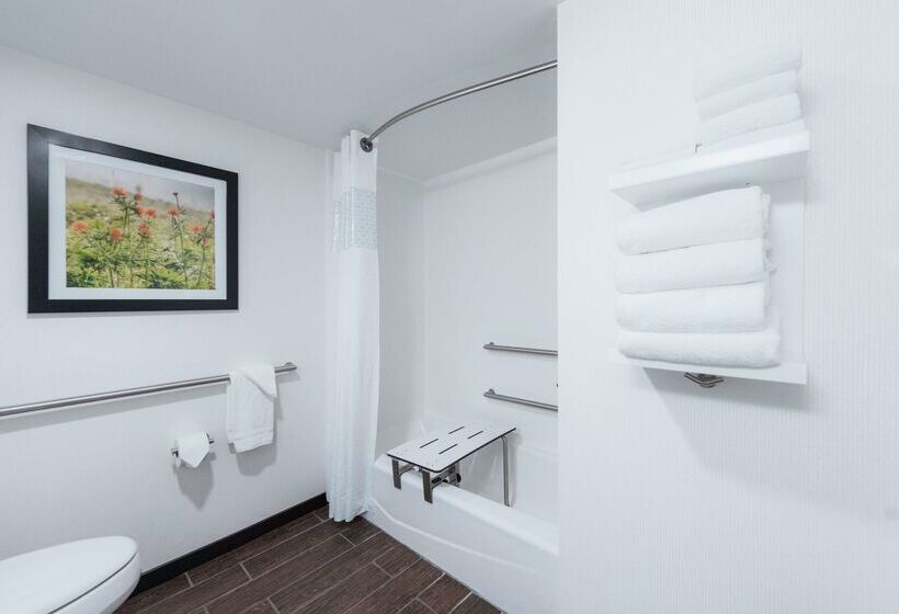 فندق Hampton Inn Meridian