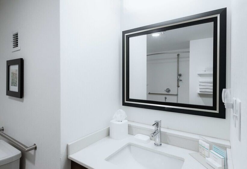 فندق Hampton Inn Meridian