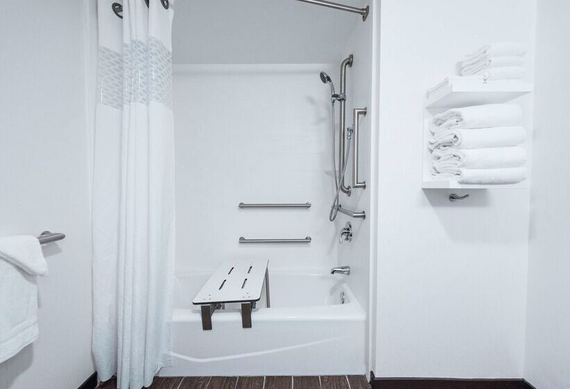 فندق Hampton Inn Meridian