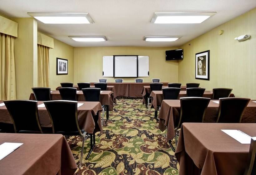 בית מלון כפרי Hampton Inn St. Louis/westport