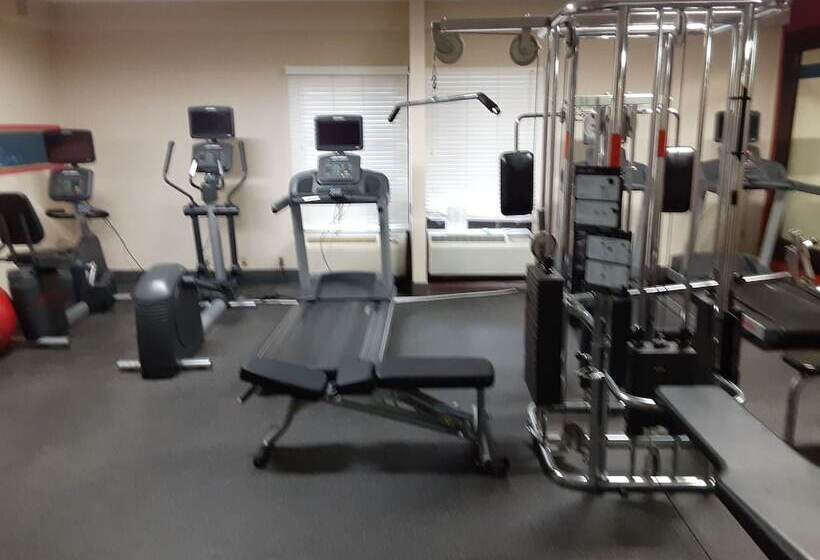 فندق Hampton Inn St. Louis/westport