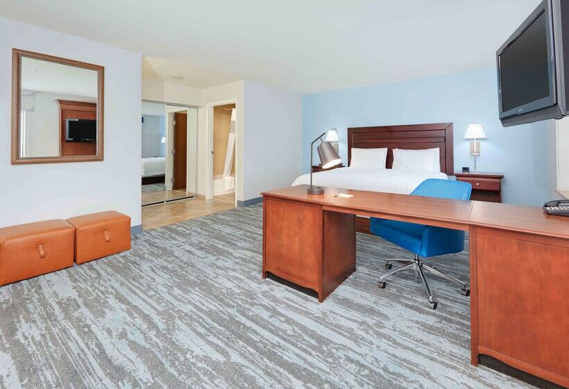 酒店 Hampton Inn & Suites Dallasarlingtonsouth