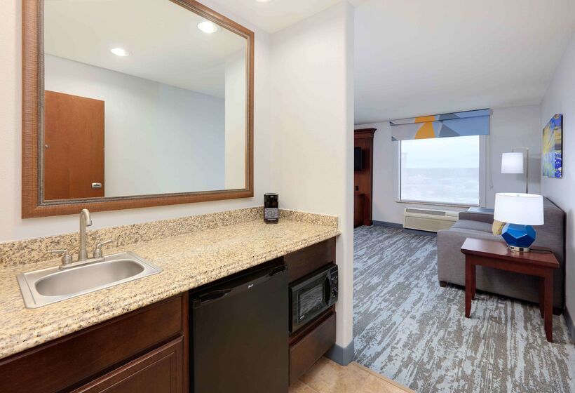 酒店 Hampton Inn & Suites Dallasarlingtonsouth
