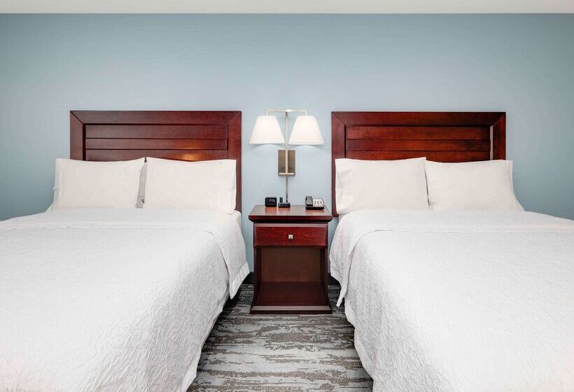 酒店 Hampton Inn & Suites Dallasarlingtonsouth