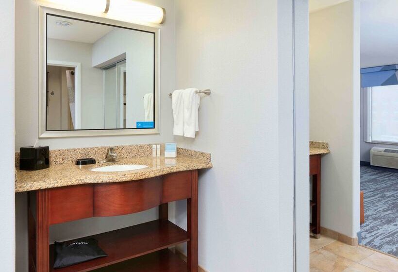 酒店 Hampton Inn & Suites Dallasarlingtonsouth