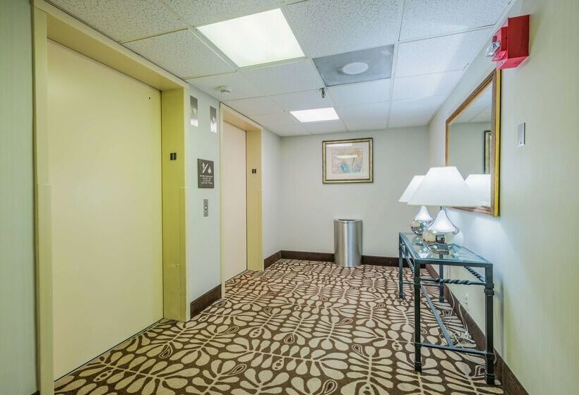 فندق Hampton Inn Tampainternational Airport/westshore