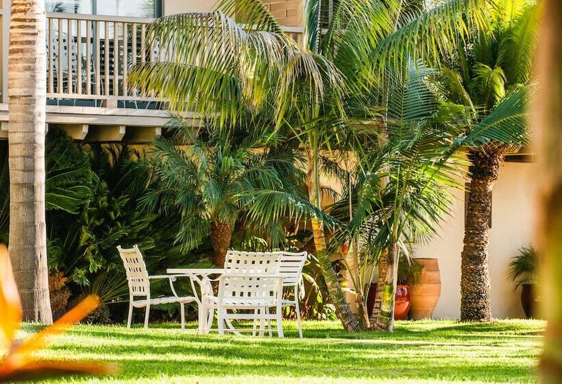 فندق Harbor View Inn