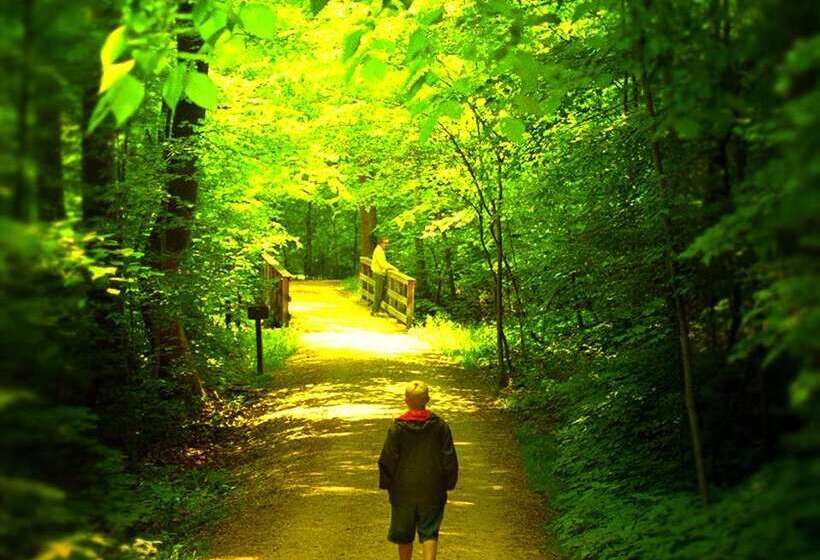 ホテル Doubletree By Hilton Akron Fairlawn