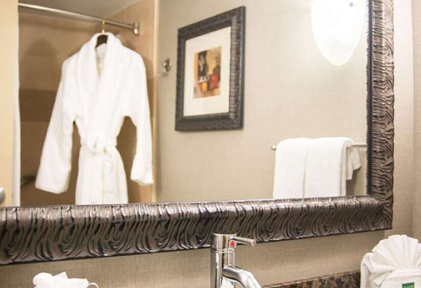 ホテル Hilton Charlotte University Place