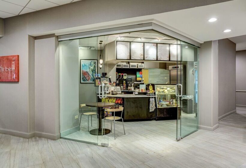 فندق Hilton Chicago/oak Lawn