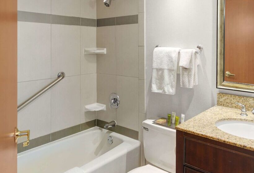 فندق Hilton Chicago/oak Lawn