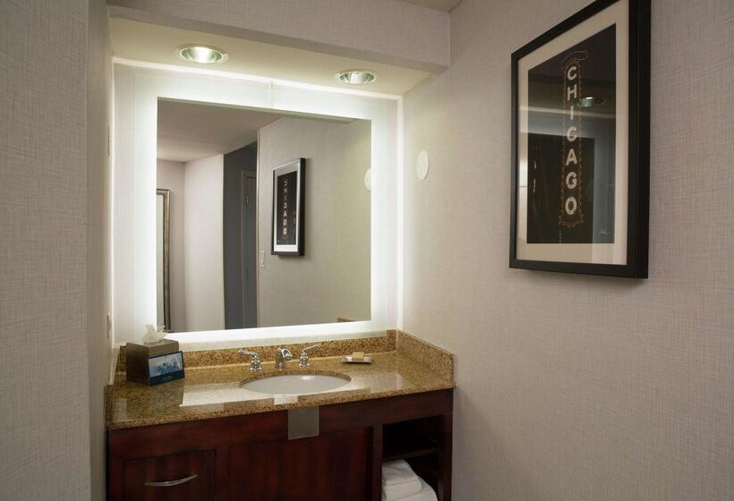هتل Hilton Chicago/oak Lawn