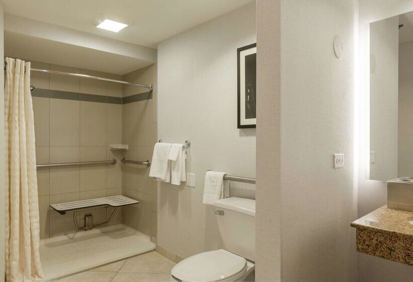 هتل Hilton Chicago/oak Lawn