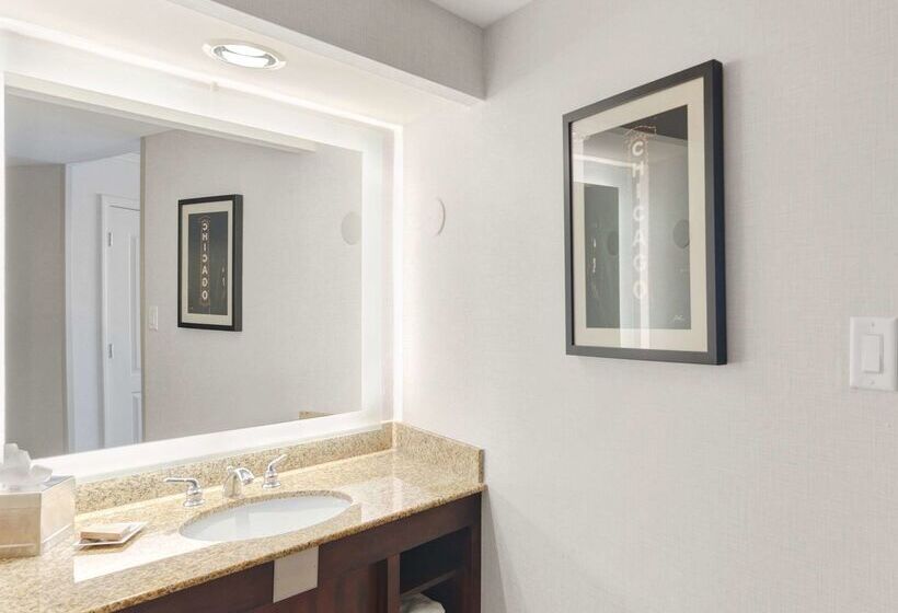 هتل Hilton Chicago/oak Lawn