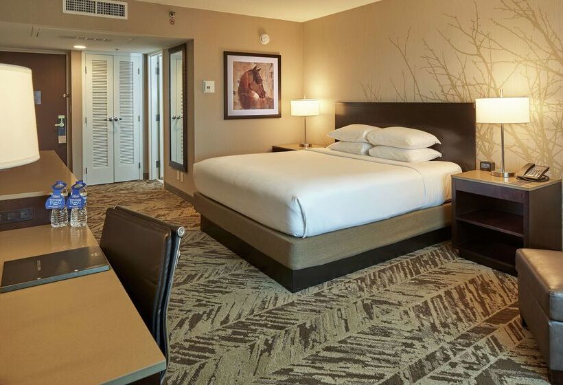 فندق Hilton Cincinnati Airport