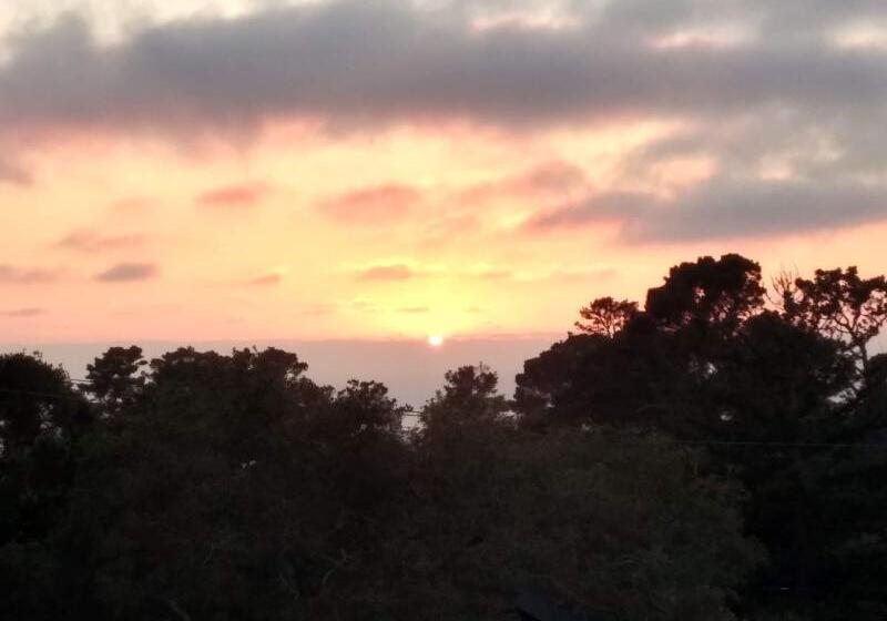 فندق Hofsas House