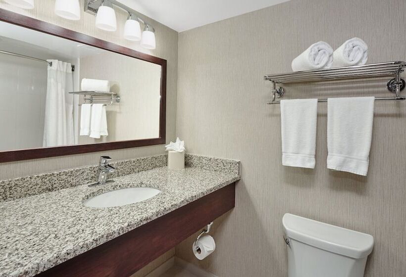 فندق Holiday Inn & Suites Chicago Carol Stream Wheaton, An Ihg