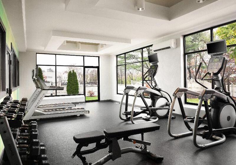 Holiday Inn Boston   Dedham Hotel & Conference Center By Ihg