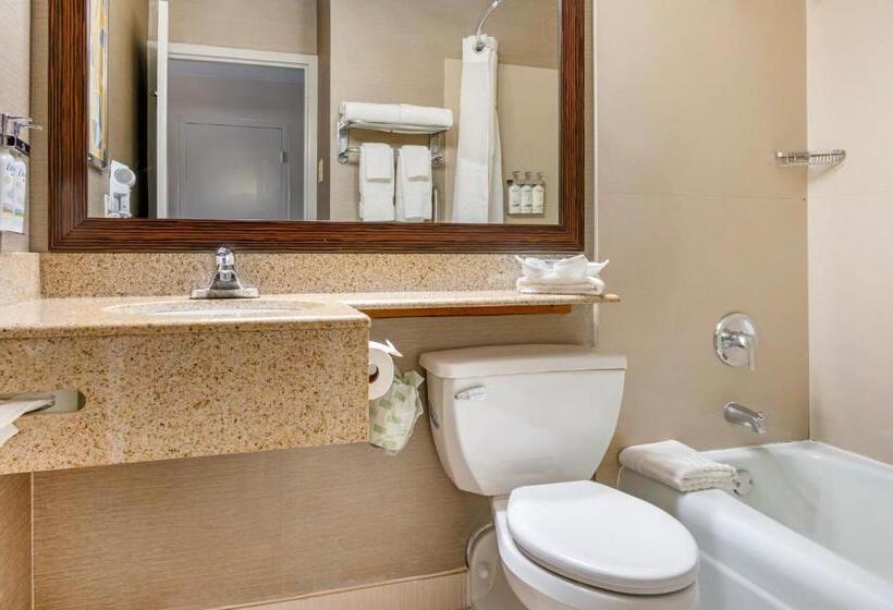 هتل Comfort Inn & Suites Danbury Bethel