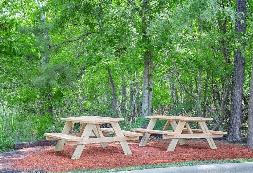 فندق Holiday Inn Express & Suites   Hardeeville Hilton Head, An Ihg