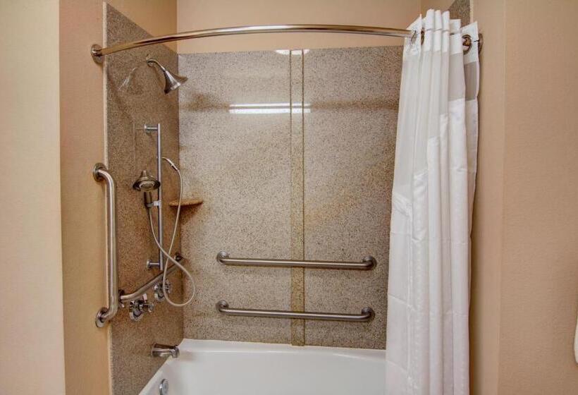 Holiday Inn Express Hotel & Suites Paris, An Ihg