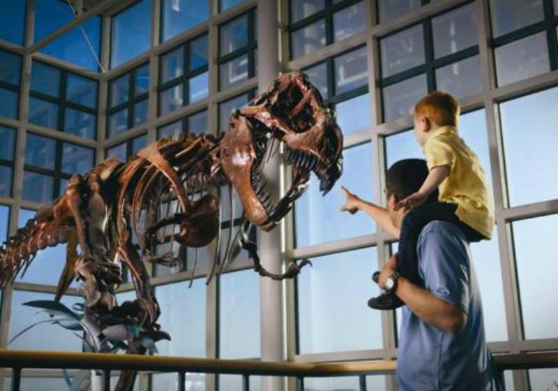 فندق Holiday Inn Rock Springs, An Ihg