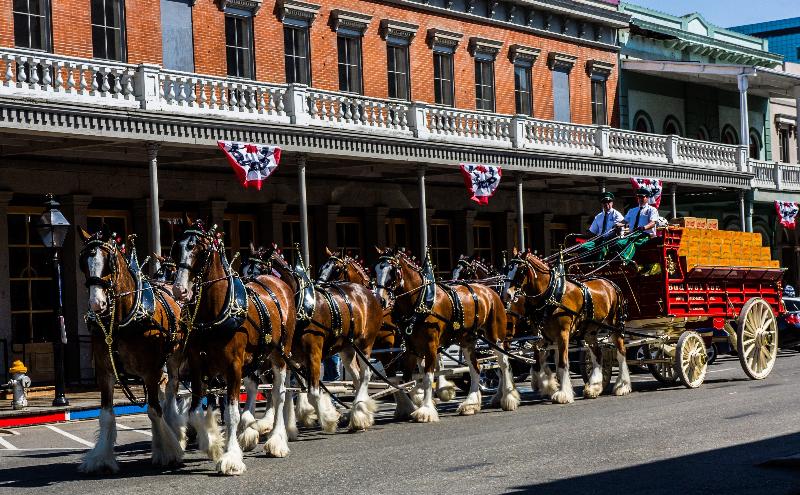 فندق Holiday Inn Sacramento Downtown Arena, An Ihg