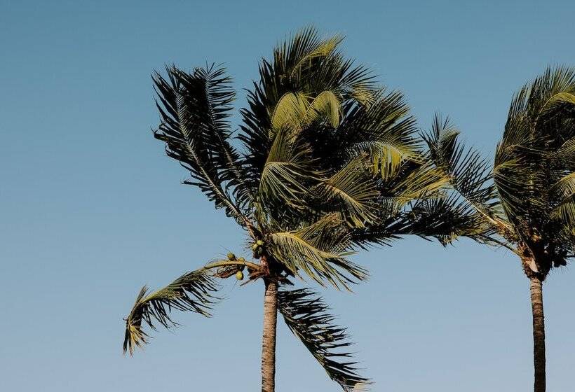 ホテル Beachside Resort & Residences