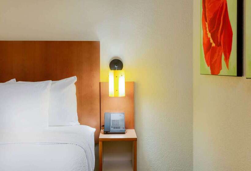 בית מלון כפרי Clt Airport Inn & Suites