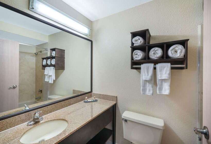 酒店 La Quinta By Wyndham Memphis Airport Graceland