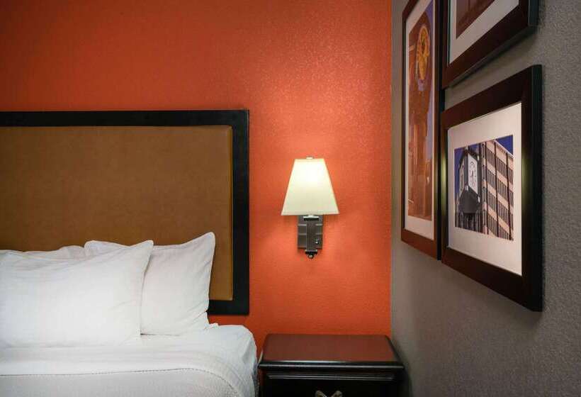 酒店 La Quinta By Wyndham Memphis Airport Graceland