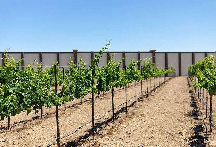 Отель Mission De Oro