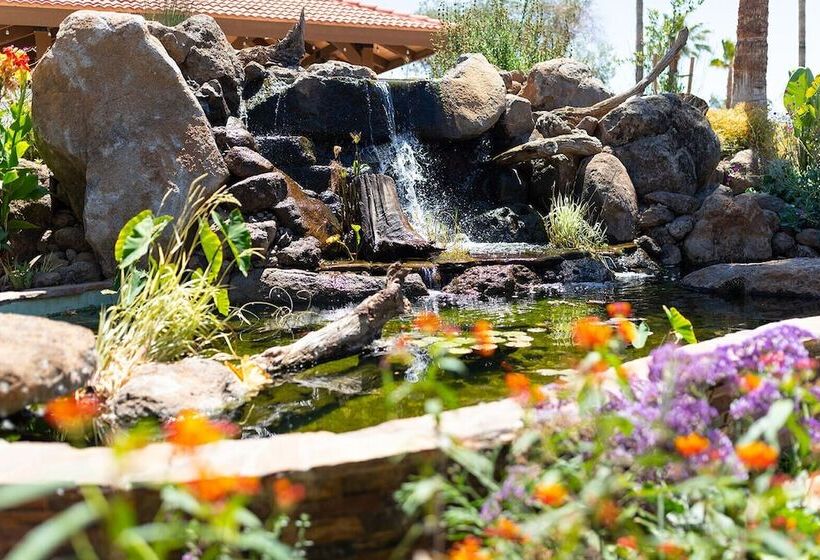 Отель Mission De Oro