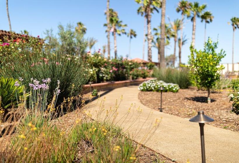 Отель Mission De Oro