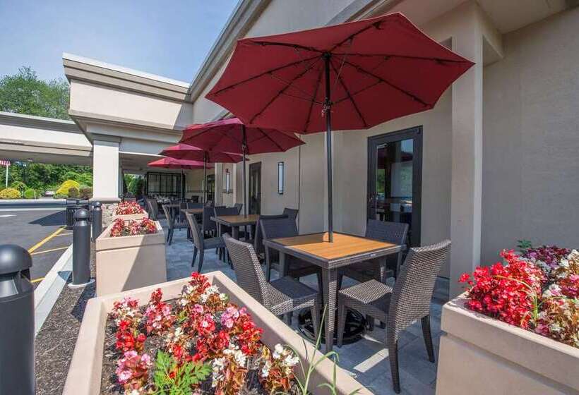 בית מלון כפרי Mtk Mount Kisco