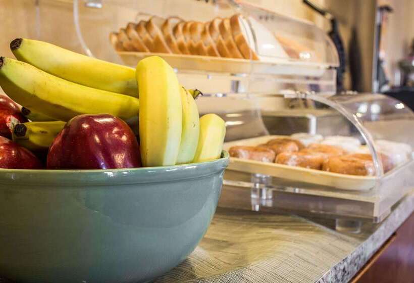 فندق Quality Inn