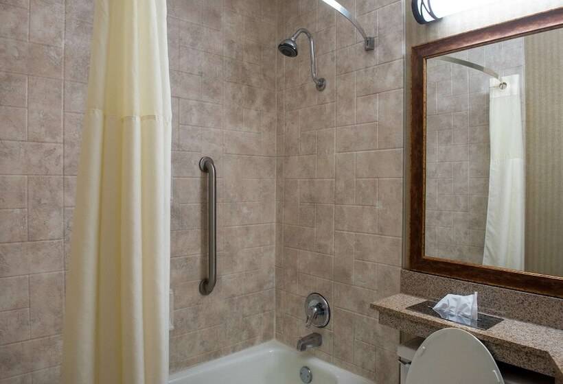 فندق Quality Inn