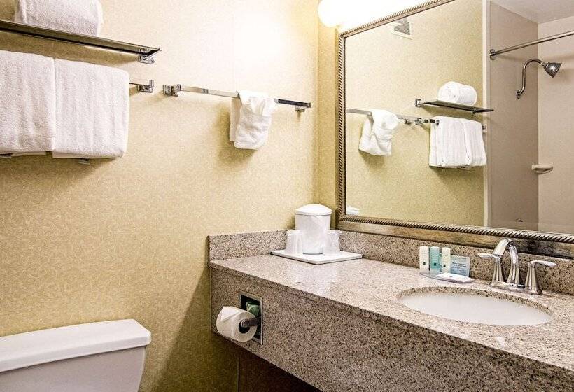 فندق Quality Inn