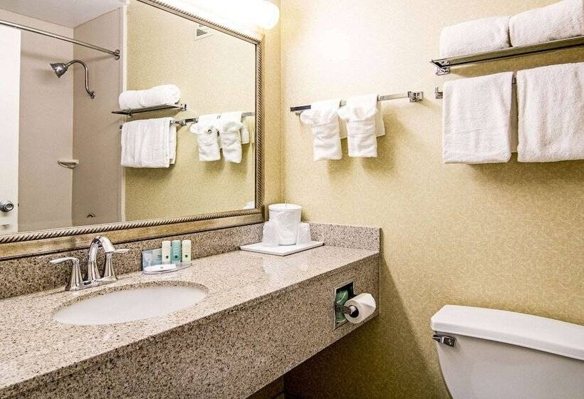 فندق Quality Inn