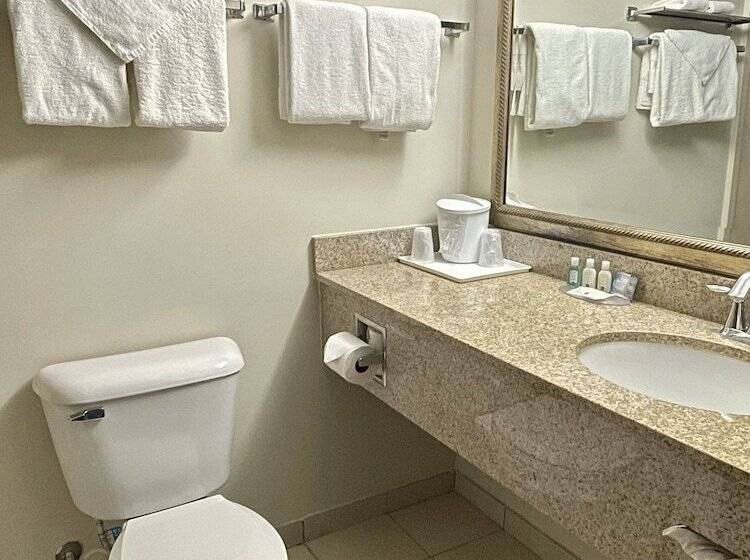 فندق Quality Inn