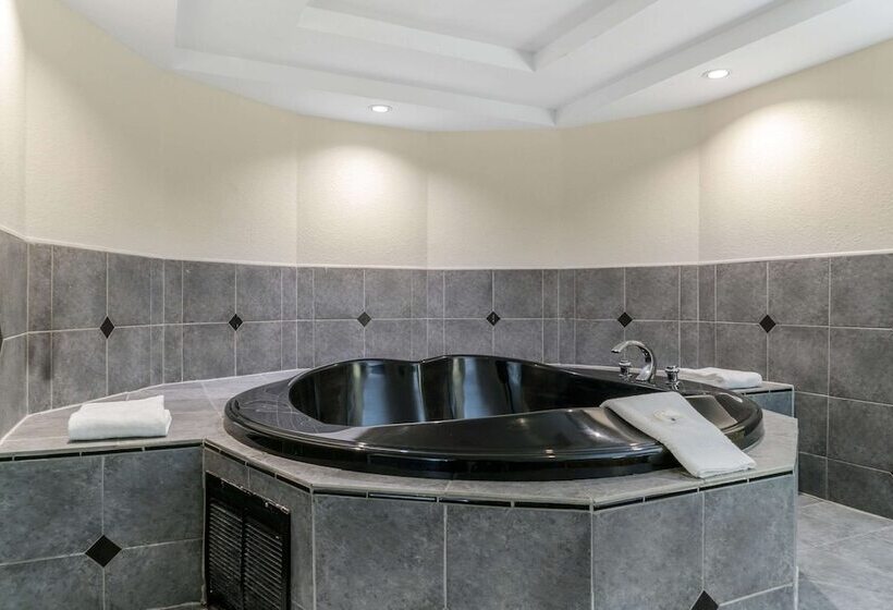 ホテル Quality Inn & Suites Banquet Center