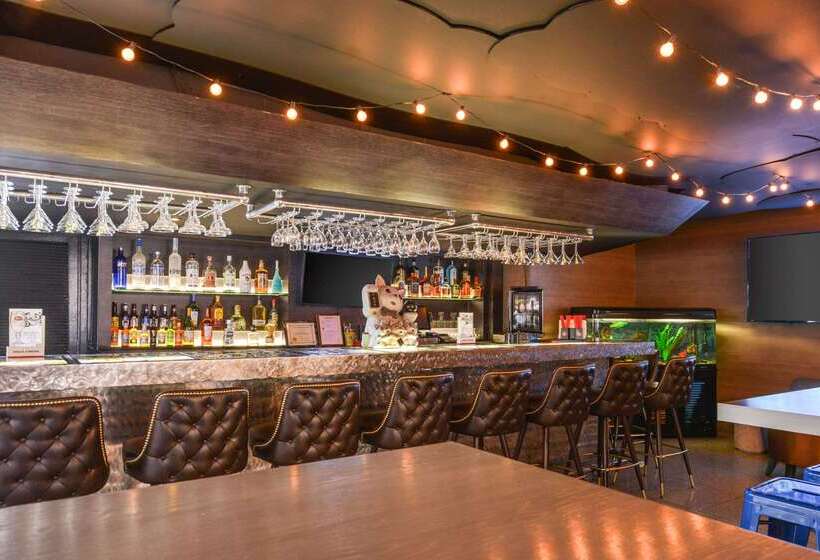 فندق Quality Inn & Suites Montebello   Los Angeles